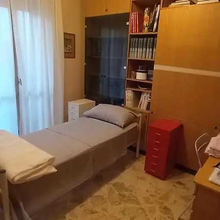 The Shelter